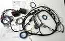 Stand-Alone Fuel Injection Harness, 3.4L V6 SFI